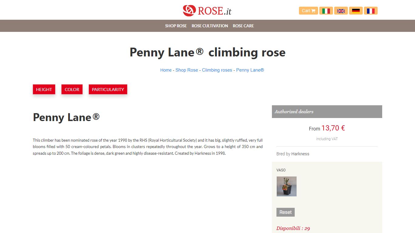 Penny Lane® climbing rose