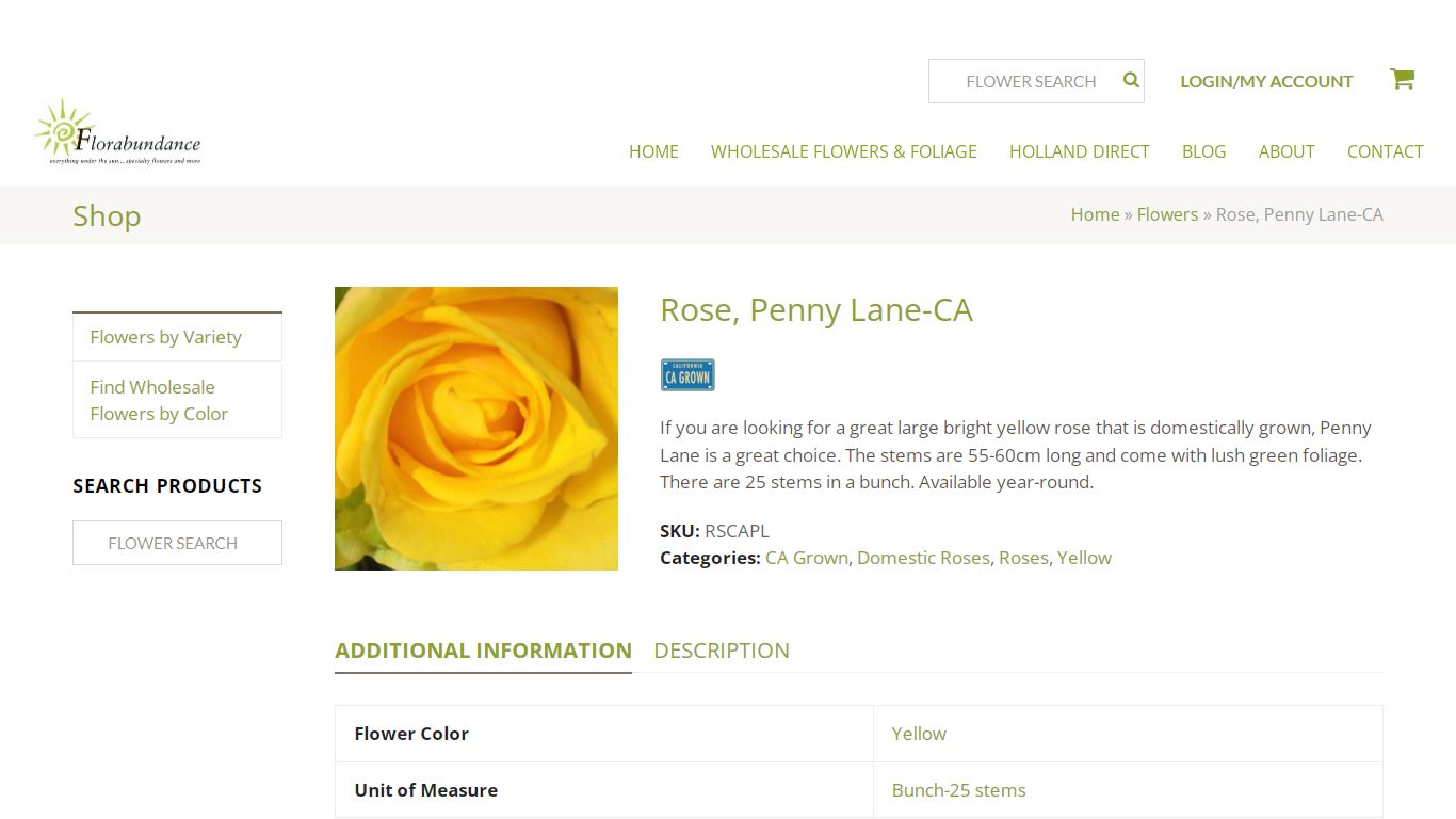 Penny Lane Roses - Florabundance Wholesale Flowers